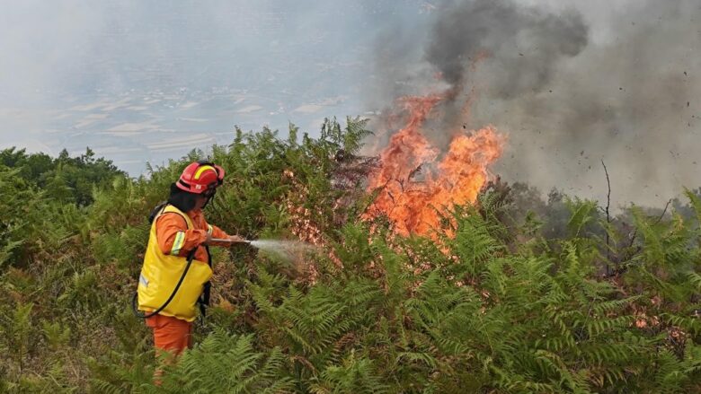 Sezoni i verës  AME apelon për kujdes të shtuar  Shmangni shkaktarët e mundshëm të zjarrit