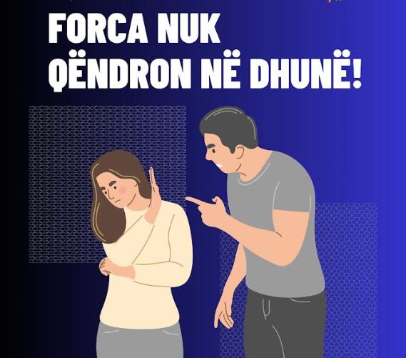 12 raste të dhunës në familje në Ferizaj vetëm gjatë muajit nëntor