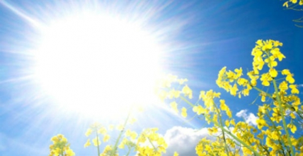 Mot me diell të dielën  temperaturat deri në 23 gradë