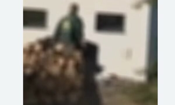 Policia publikon video nga ndërhyrja në  Sharri   të dyshuarit penguan zyrtarët në detyrë