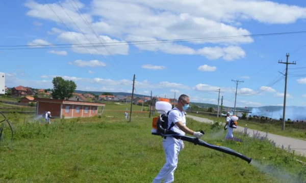 Malisheva nis luftën me rriqrat  dezinsekton zonat ku mund të ketë kësi parazitë