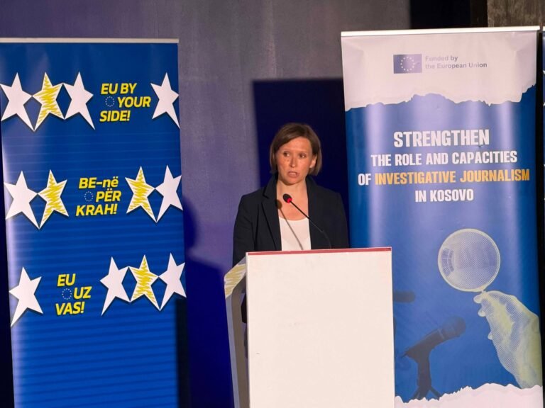 Palatova  Rruga e Kosovës drejt BE së kërkon reforma dhe përgjegjësi