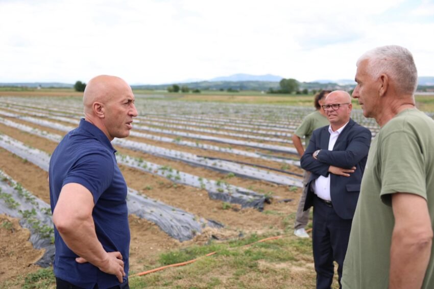 Haradinaj  Në qeverisjen e Ardian Gjinit  fermerët do të jenë në qendër të vëmendjes dhe mbështetjes institucionale