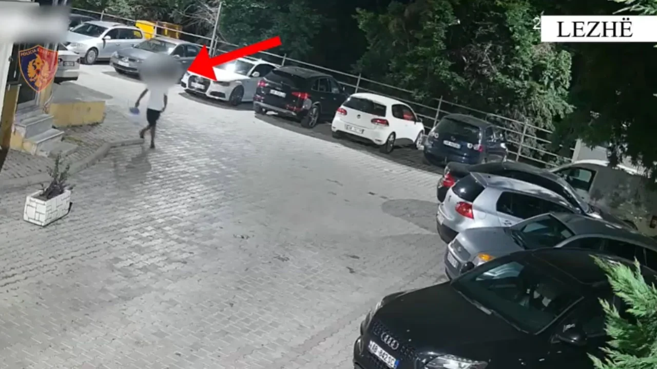 Dy arrestime për vjedhje në Lezhë  policia zbardh detajet e operacionit