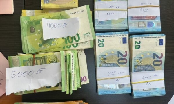Fshihte 30 mijë euro në kamion  kapet në kufirin e Vërmicës